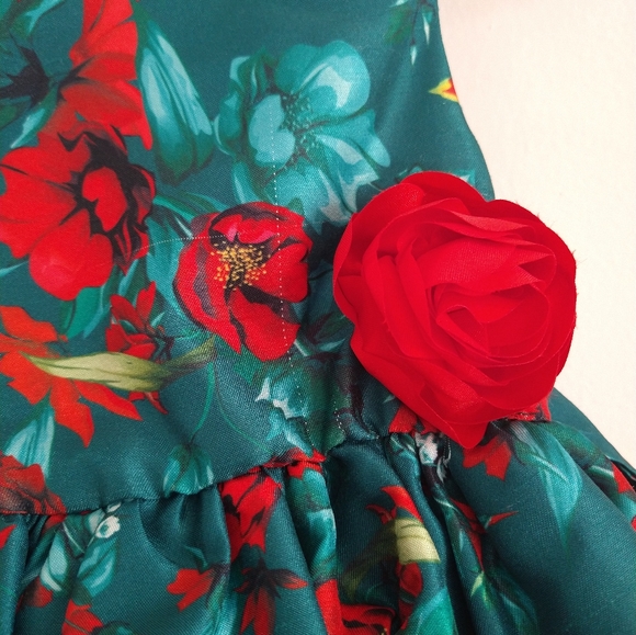 Nanette kids holidays dress size 2 T - Picture 10 of 10